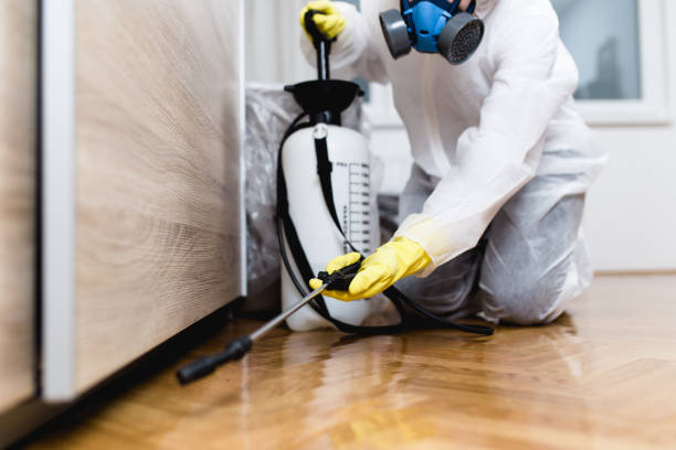 Wildlife Control Services in Laguna Park, TX