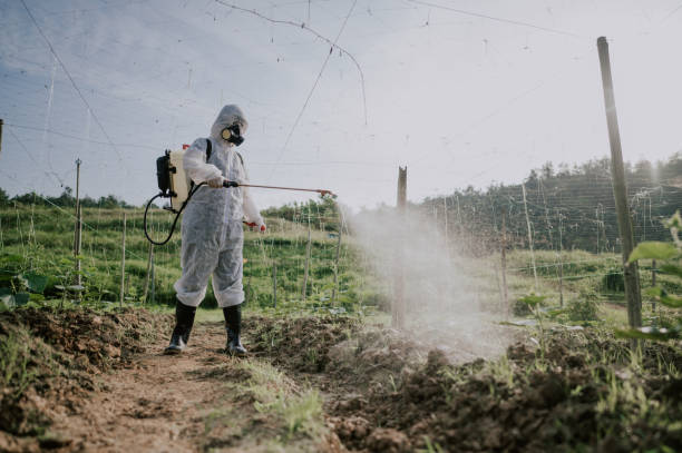 Best Ant Control Services  in Laguna Park, TX