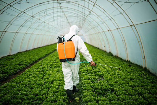Professional Pest Control in Laguna Park, TX