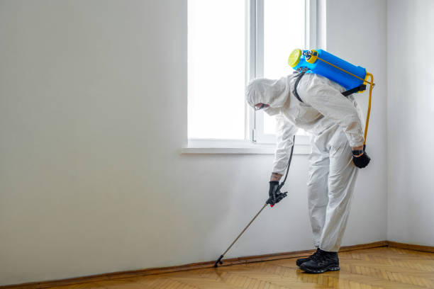 Best Mosquito Control Services  in Laguna Park, TX