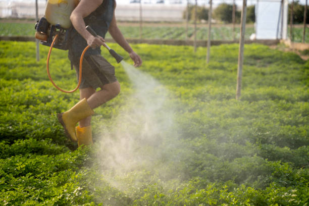 Best Best Pest Control Companies  in Laguna Park, TX