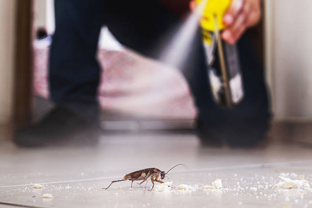 Best Pest Control Near Me in Laguna Park, TX